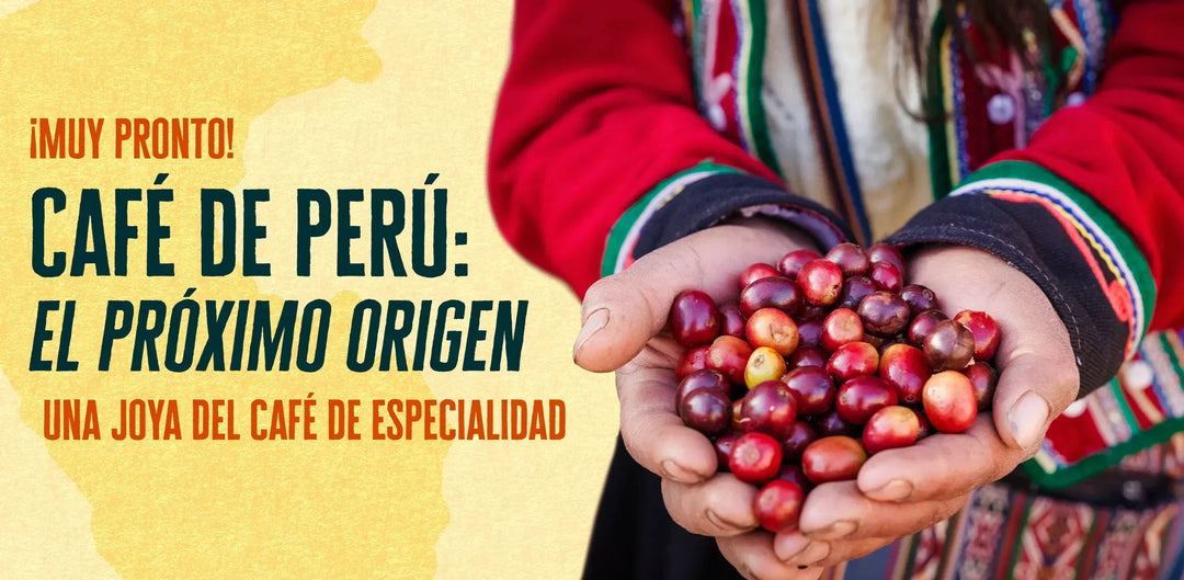 Perú, una joya en el mapa del café de especialidad