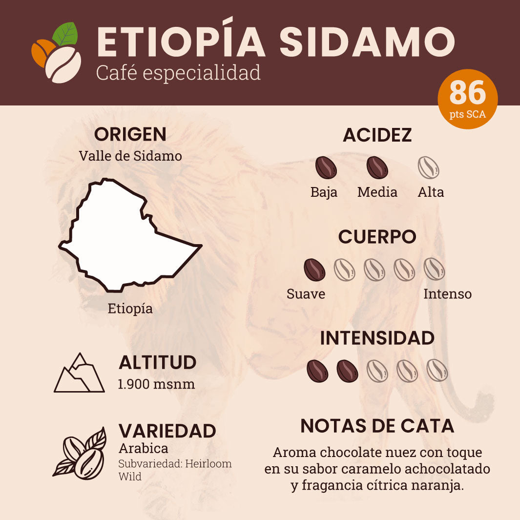 Etiopia Sidamo - 5 kilos - Granel