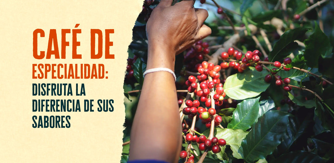 Saborea las diferencias en el café de especialidad