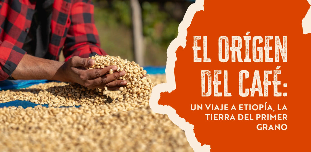 El Origen del Café: Un Viaje a Etiopía, la Tierra del Primer Grano