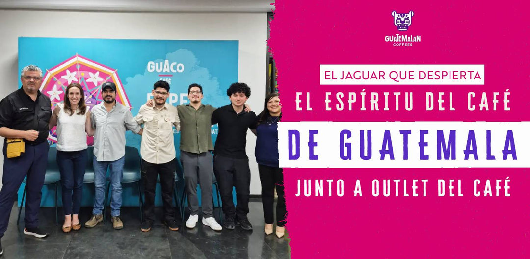 El jaguar que despierta el espíritu del café de Guatemala