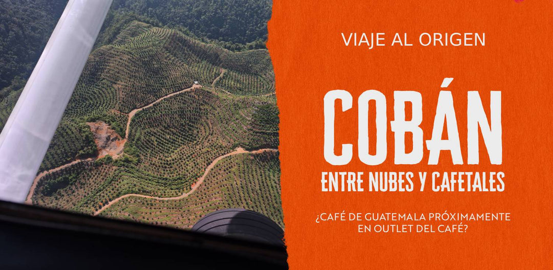 El 2027 llega el café de Guatemala a Outlet del Café: así fue nuestro viaje a Cobán