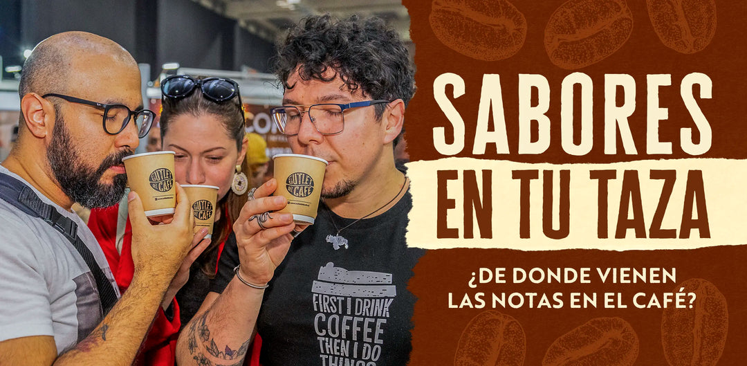 Donde nace el sabor: la verdad escondida en cada grano de café