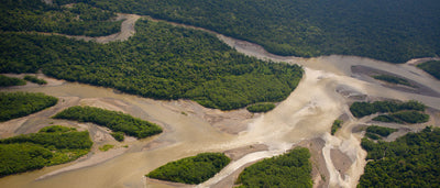 Cafe Grano Alto Amazonas Señor K
