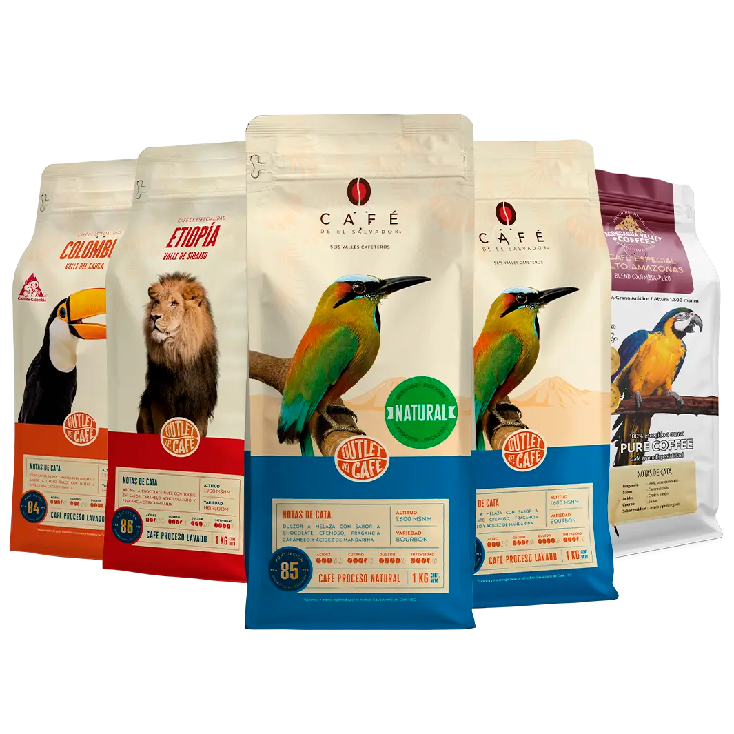 Ofertas & Novedades