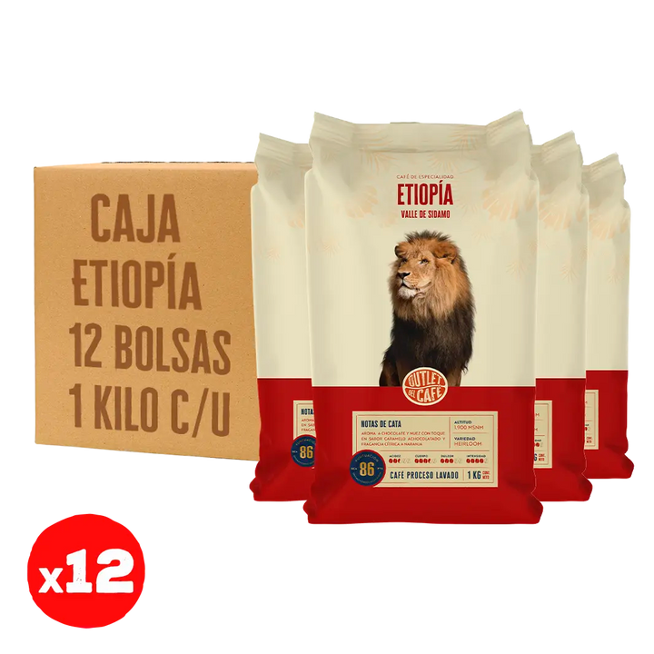 Oferta Sólo Grano - Etiopía Sidamo Envasado Automático