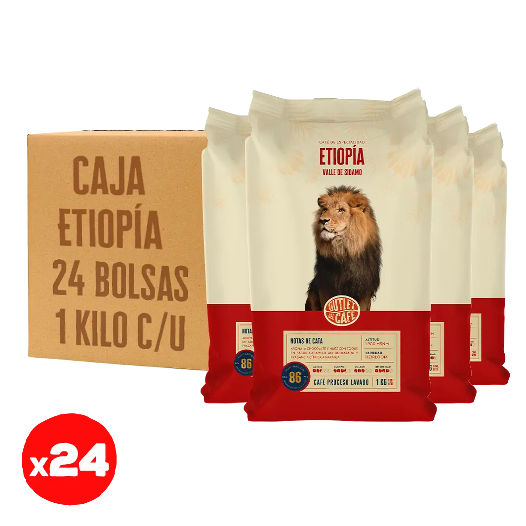 Oferta Sólo Grano - Etiopía Sidamo Envasado Automático