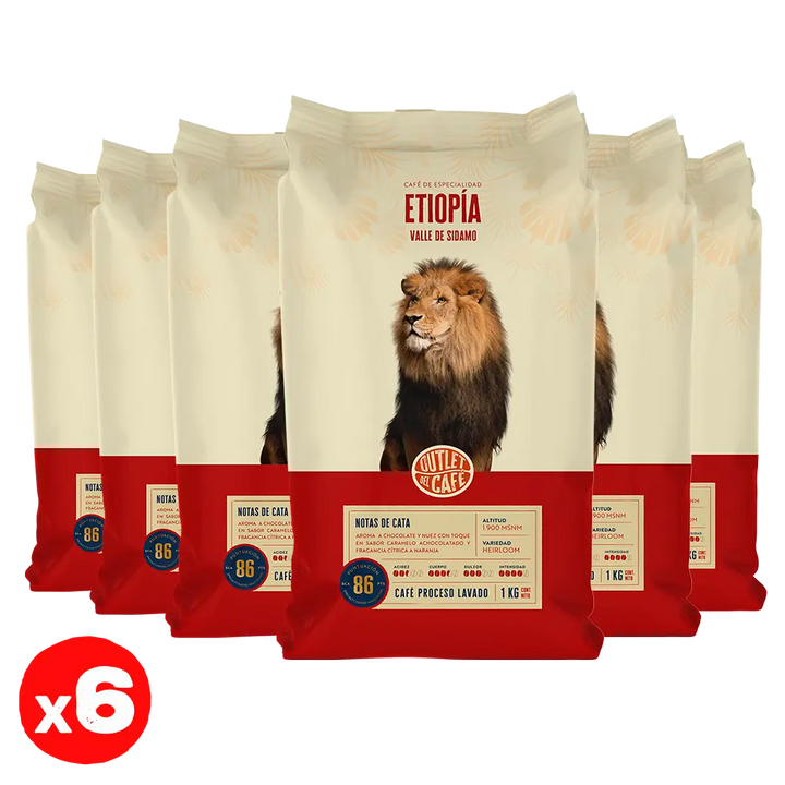 Oferta Sólo Grano - Etiopía Sidamo Envasado Automático