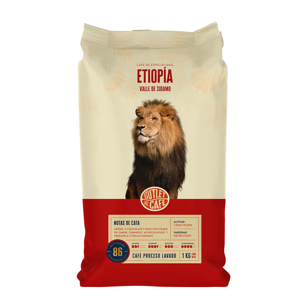 Ofertas & Novedades