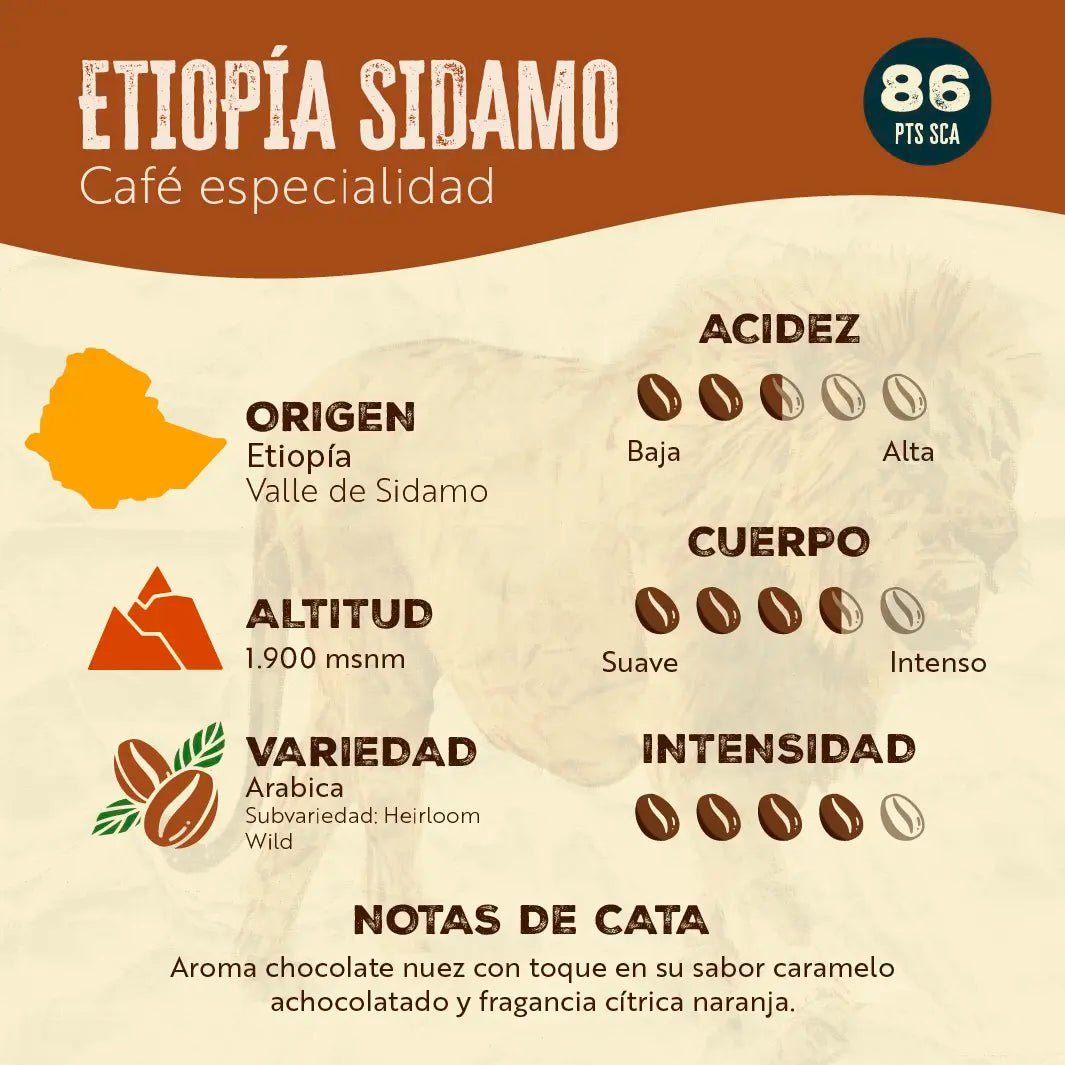 Etiopia Sidamo - 5 kilos - Granel