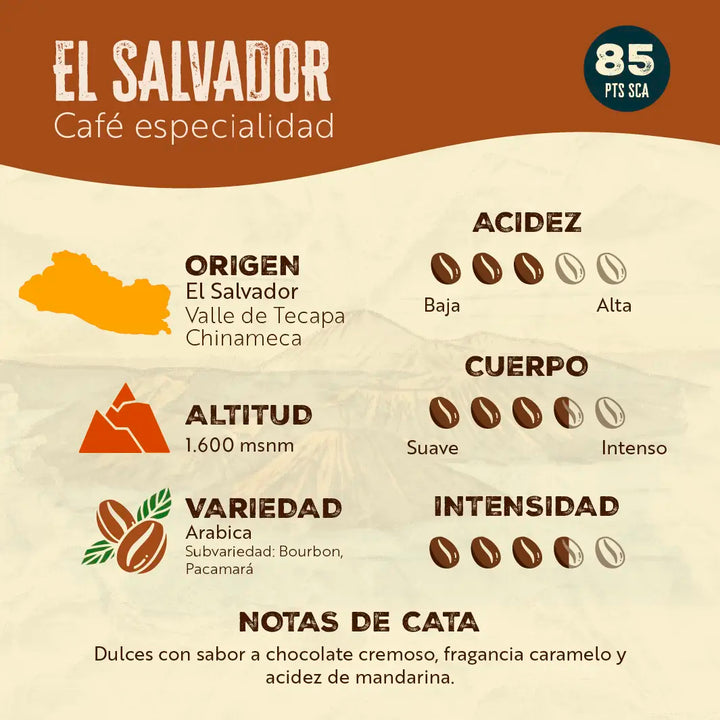 Moka 6 Tazas + 500g Café Molido