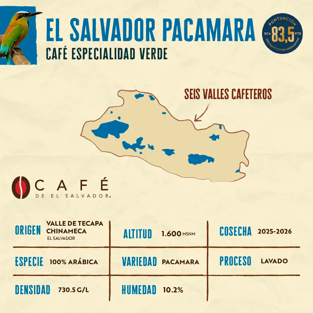 Pacamara Lavado - El Salvador - Café Verde