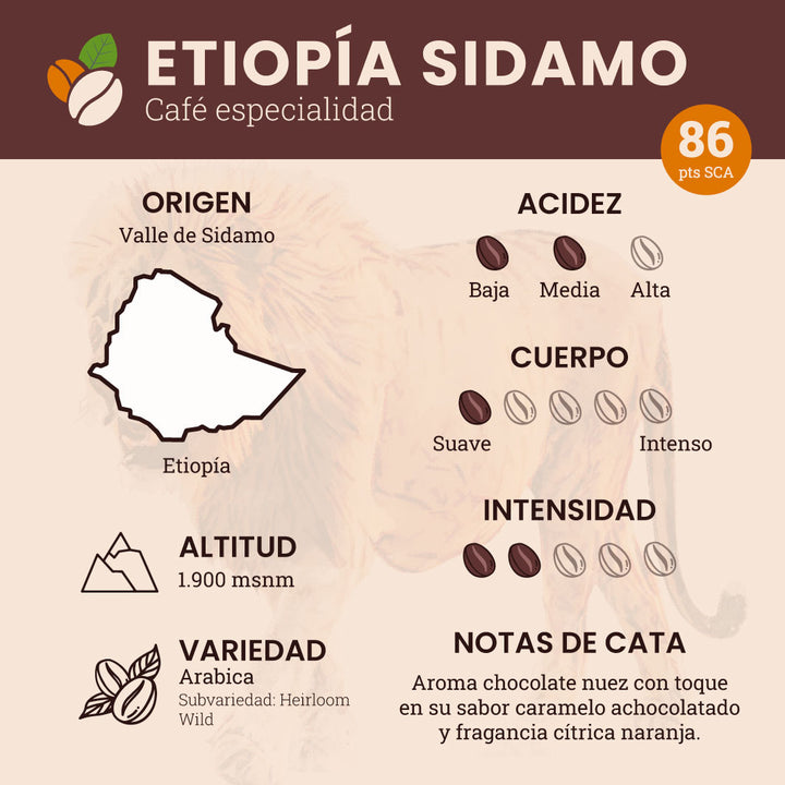 Caja Etiopia Sidamo - 6 x 1 Kg