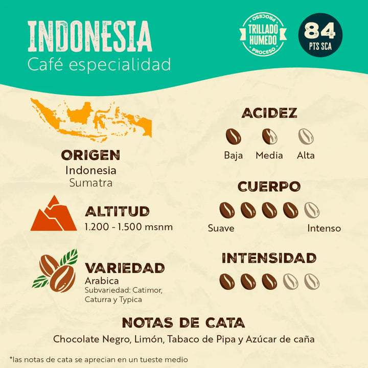 Indonesia Sumatra - Línea Signature - Café Verde