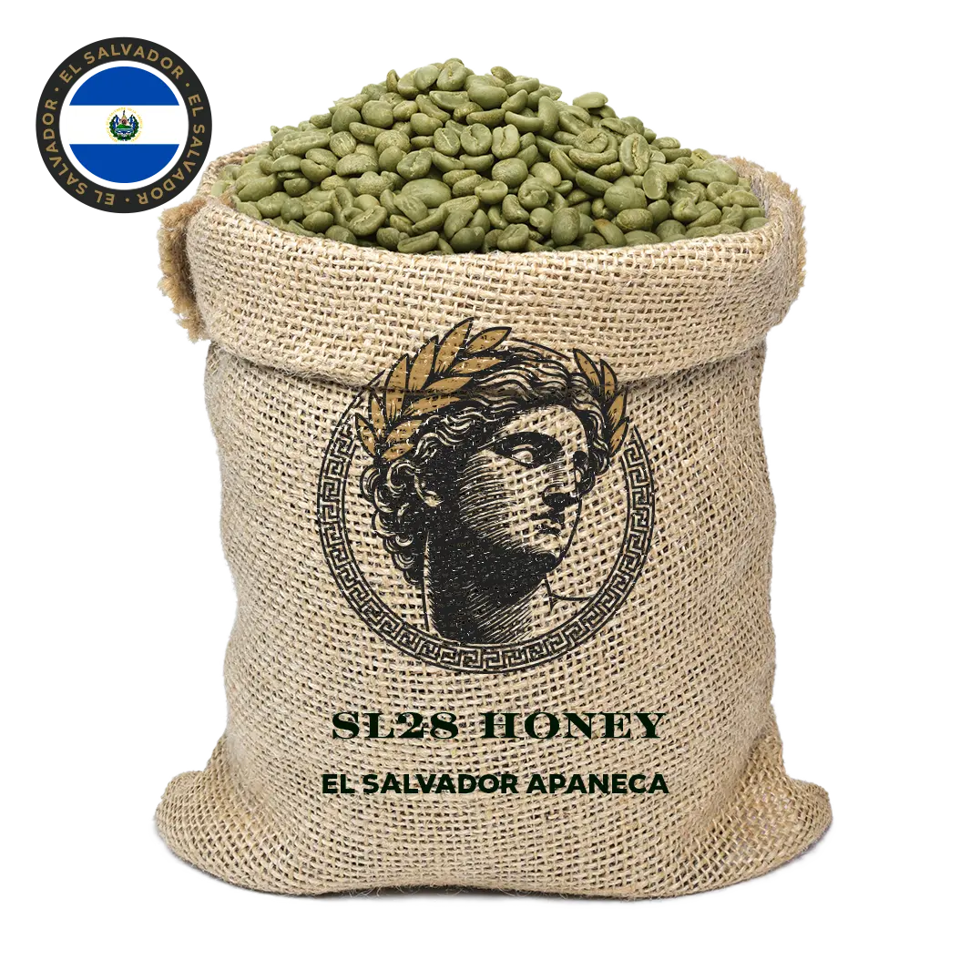 SL28 Honey - El Salvador, Apaneca - Café Verde