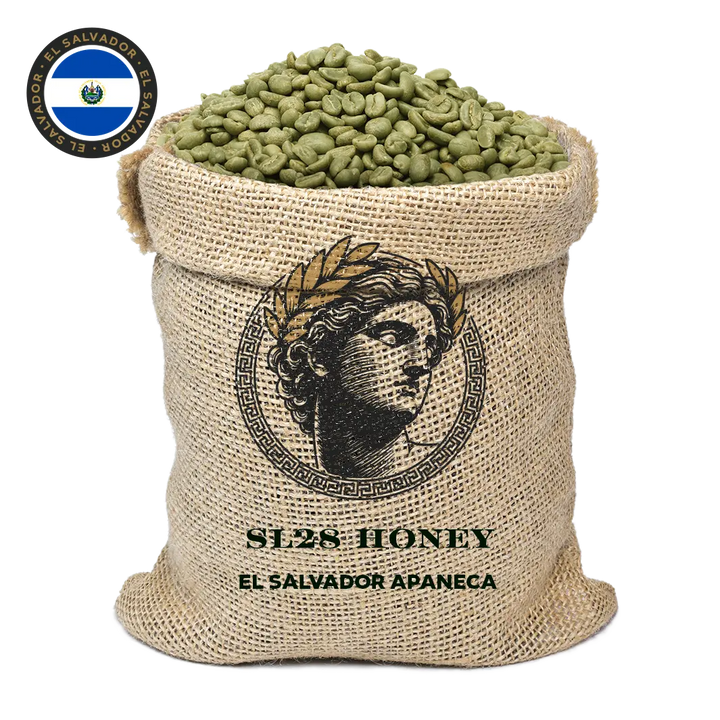SL28 Honey - El Salvador, Apaneca - Café Verde