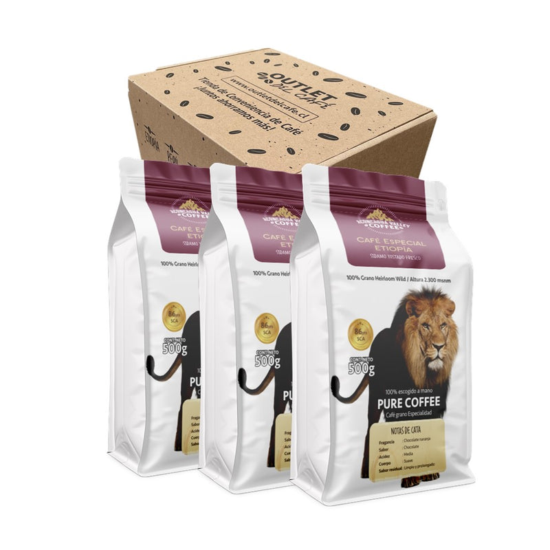 Café ETIOPIA SIDAMO 3x 500g  (150 tazas)+ Freeshipping 238 Comunas*