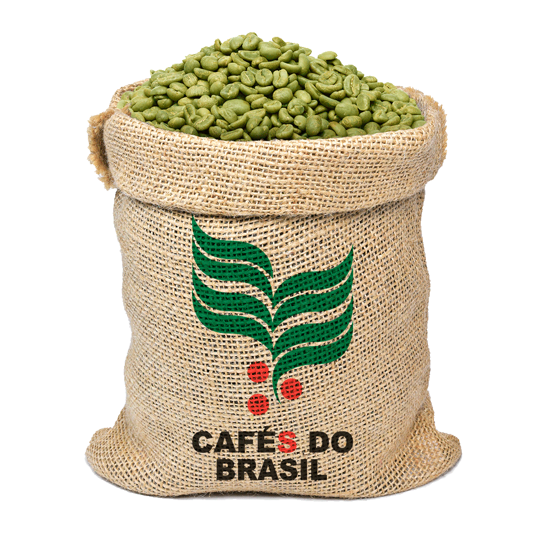 Robusta Conilón - Café Verde - 5 kilos