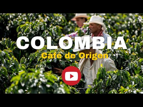 Colombia Excelso - 1 kg