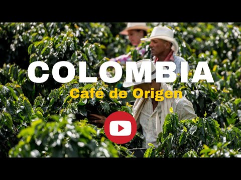 Pack Colombia Excelso 2 Kg + Regalo Saco Arpillera