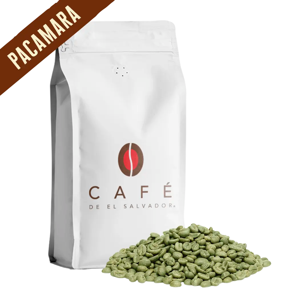 Pacamara Lavado - El Salvador - Café Verde
