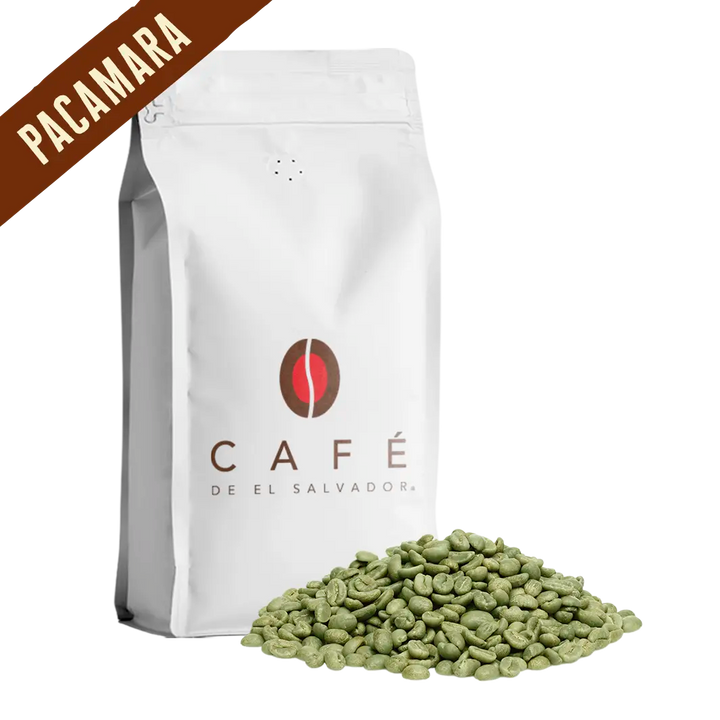 Pacamara Lavado - El Salvador - Café Verde