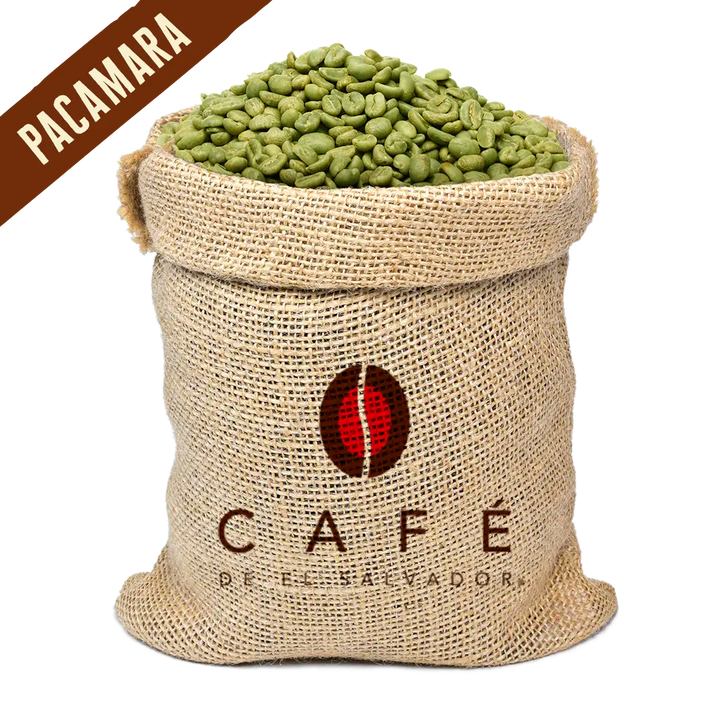 Pacamara Lavado - El Salvador - Café Verde