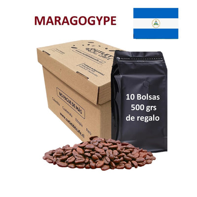 5 k Café MARAGOGYPE  Granel + envío Gratis*