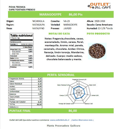 Aerobie + Café Maragogype 500grs