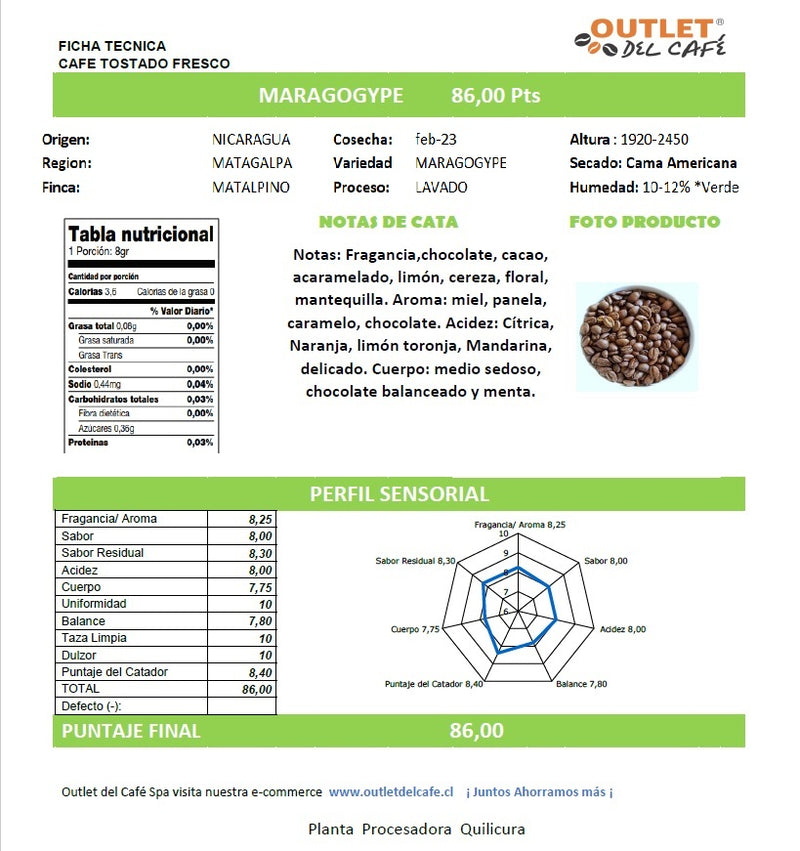 Aerobie + Café Maragogype 500grs